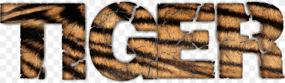 Tiger Stylized Lettering Clipart, Wood, Text, Person Free Transparent Png