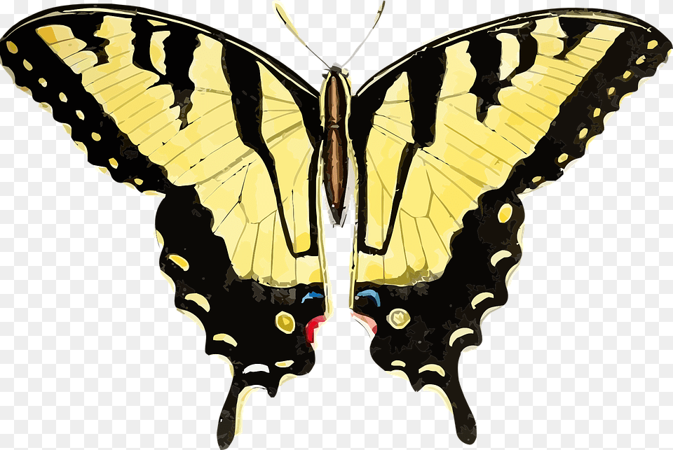 Tiger Swallowtail Butterfly, Animal, Insect, Invertebrate, Person Free Transparent Png