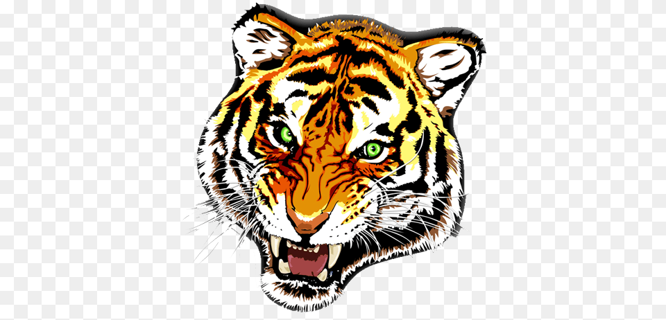 Tiger Tattoo Colour, Animal, Mammal, Wildlife, Face Free Png Download