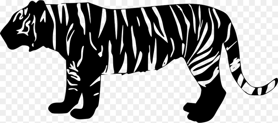 Tiger Tiger Icon, Stencil, Baby, Person Png Image