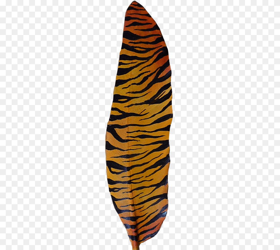 Tiger Tiger Stripes Tiger, Petal, Flower, Home Decor, Leaf Free Png Download