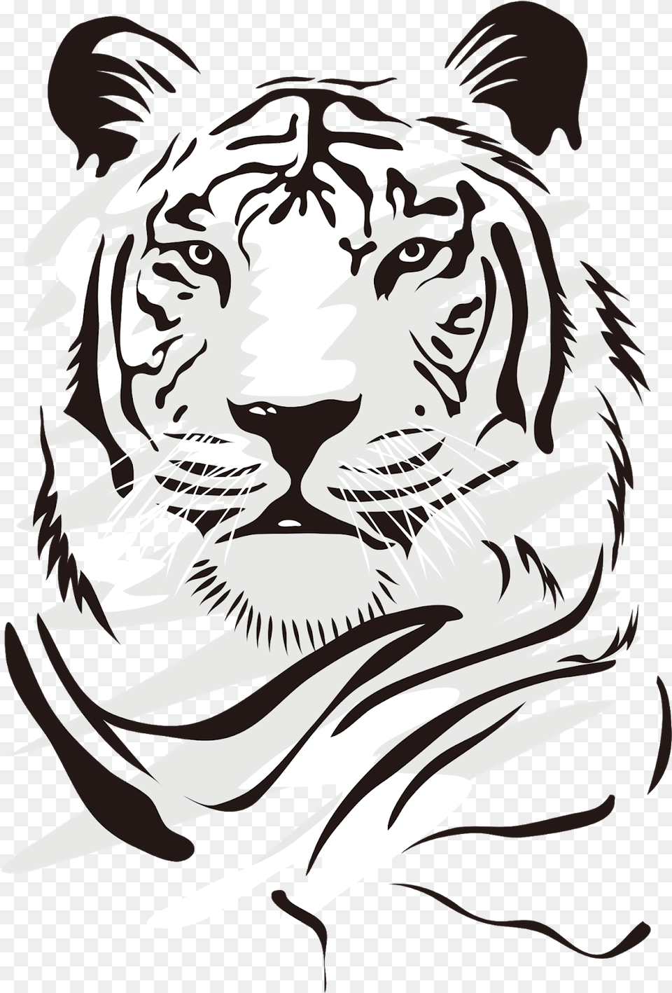 Tiger Vector, Person, Stencil, Animal, Lion Png