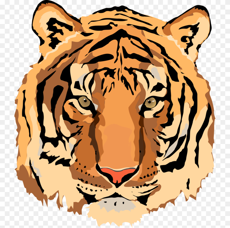 Tiger Vector Image Clipart Best, Person, Animal, Mammal, Wildlife Png