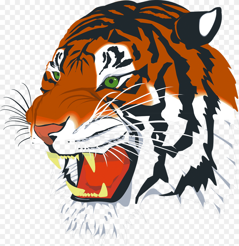 Tiger Vector Tiger Head, Animal, Mammal, Wildlife, Person Free Png