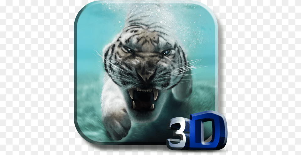 Tiger Video Live Wallpaper App Computer, Animal, Mammal, Wildlife, Blackboard Free Png Download