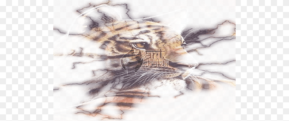 Tiger Watercolour Painting Lightning Effect Embroidery, Animal, Mammal, Wildlife, Cat Free Png