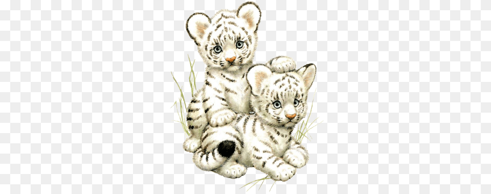 Tiger With Cub Drawing, Animal, Mammal, Wildlife, Art Free Png