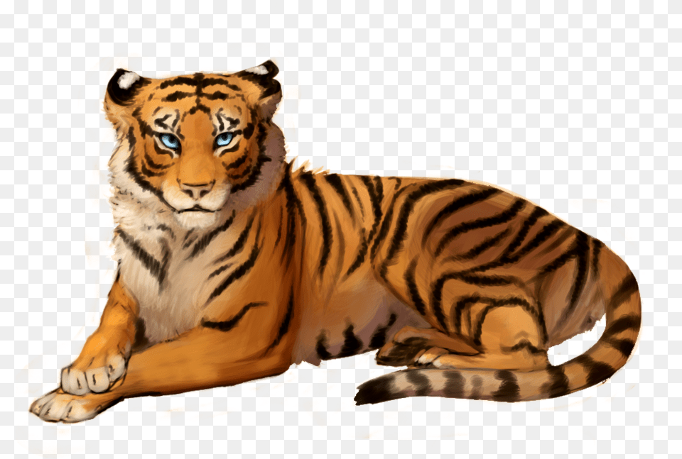 Tiger With Out Background, Animal, Mammal, Wildlife Free Png