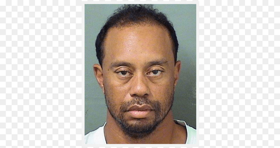 Tiger Woods, Adult, Beard, Face, Head Free Png Download