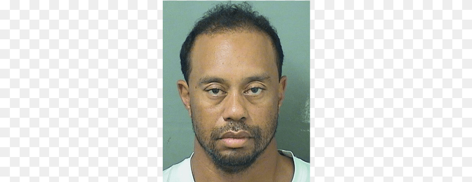 Tiger Woods Tiger Woods Mugshot 2017, Adult, Face, Head, Male Free Png Download