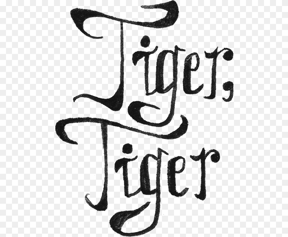 Tiger Written In Different Fonts, Calligraphy, Handwriting, Text Free Transparent Png