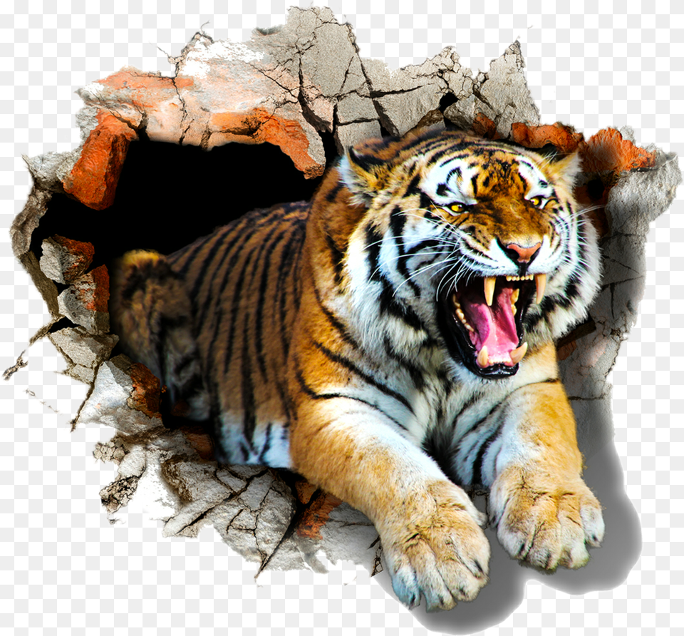 Tigerroar Tiger 3d Free Transparent Png