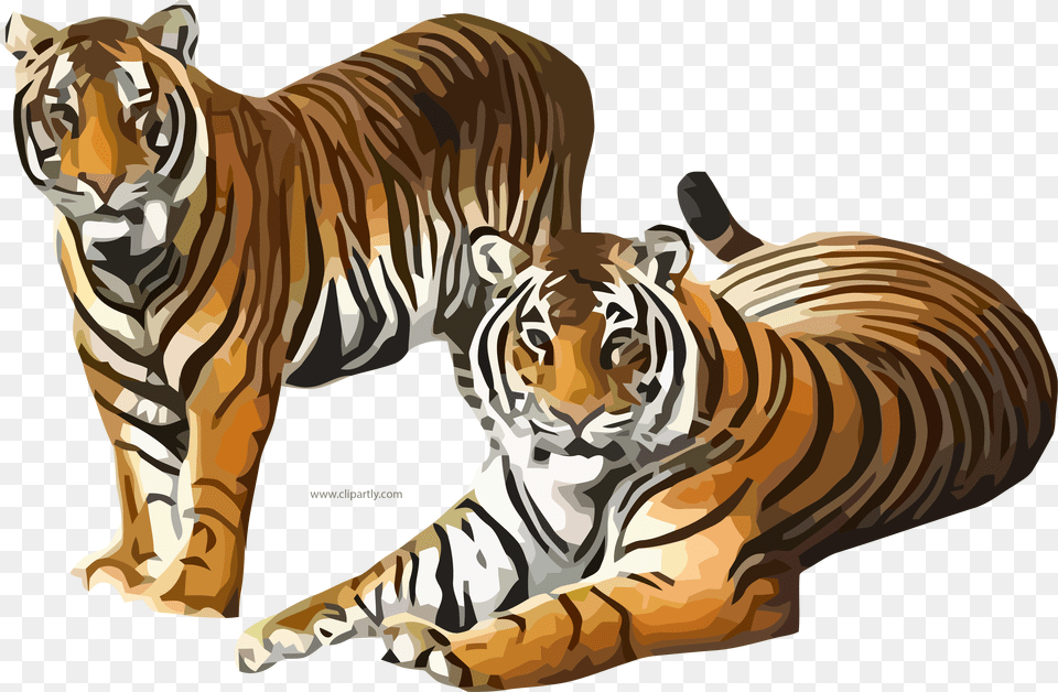 Tigers Clipart, Animal, Mammal, Tiger, Wildlife Free Png Download