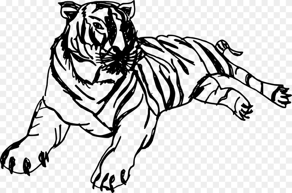 Tigers Drawing Hand Drawn Tiger Drawing Cartoon Black And White, Gray Png