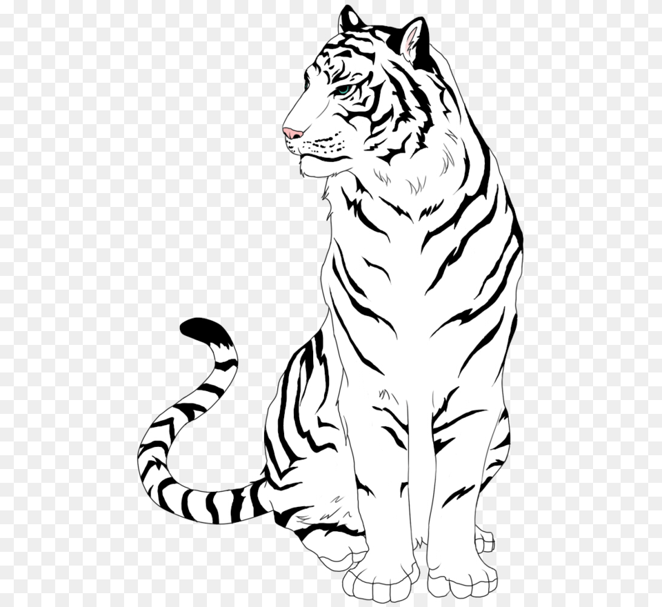 Tigers Drawing Tiger Cub U0026 Clipart Draw A White Tiger, Stencil, Adult, Wedding, Person Free Transparent Png