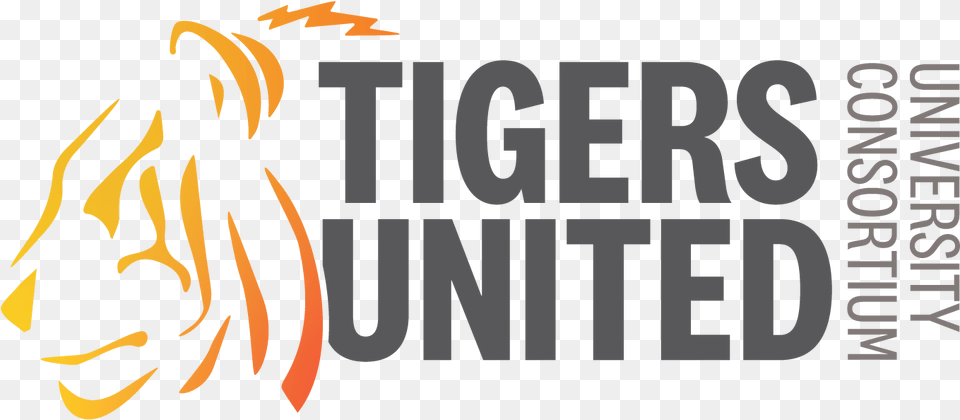 Tigers United Logo Illustration, Fire, Flame, Text Png
