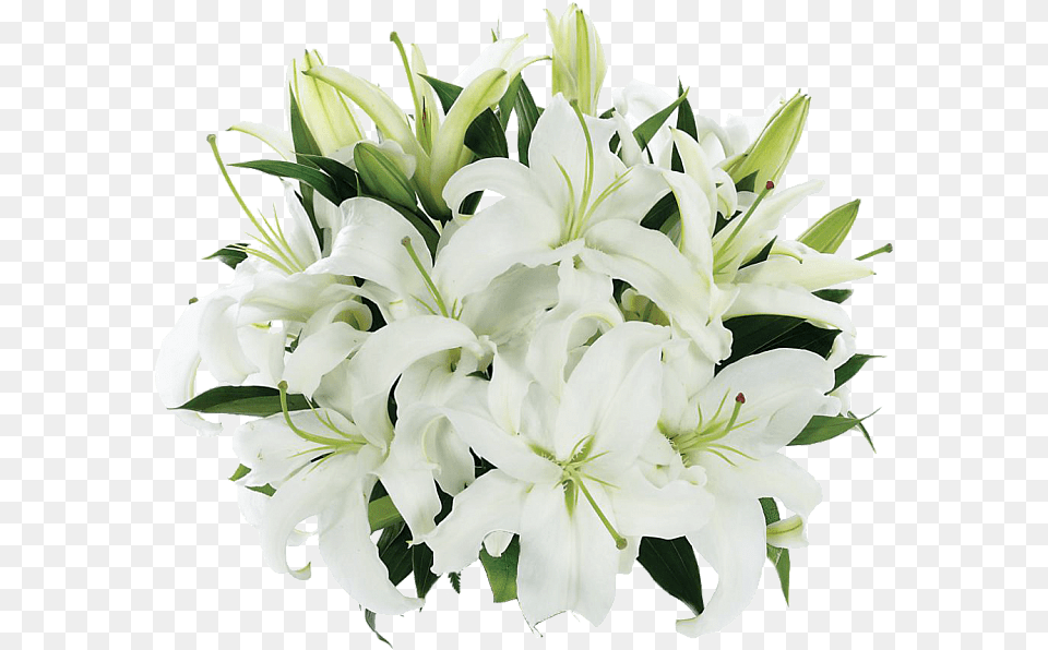 Tight Bouquet Of Lilies White Flower Bouquet, Flower Arrangement, Flower Bouquet, Plant, Lily Png