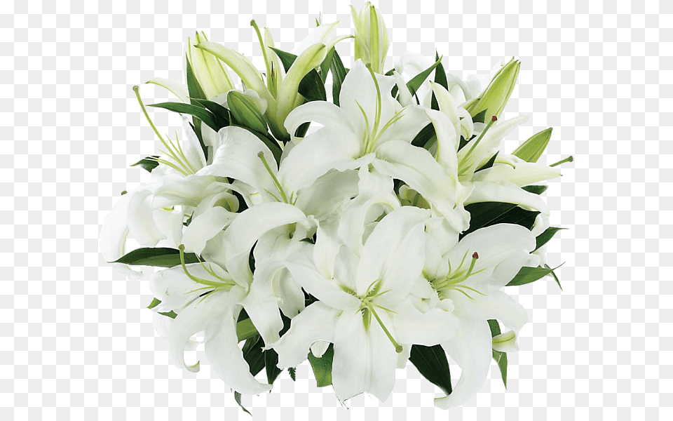 Tight Bouquet Of Lilies White Lily Flower, Plant, Flower Arrangement, Flower Bouquet Free Png