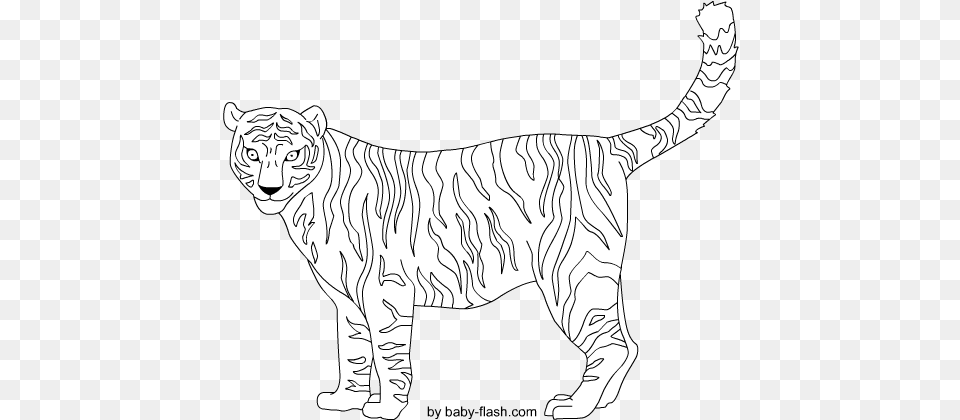 Tigre Illustration, Art, Stencil, Animal, Lion Free Png Download