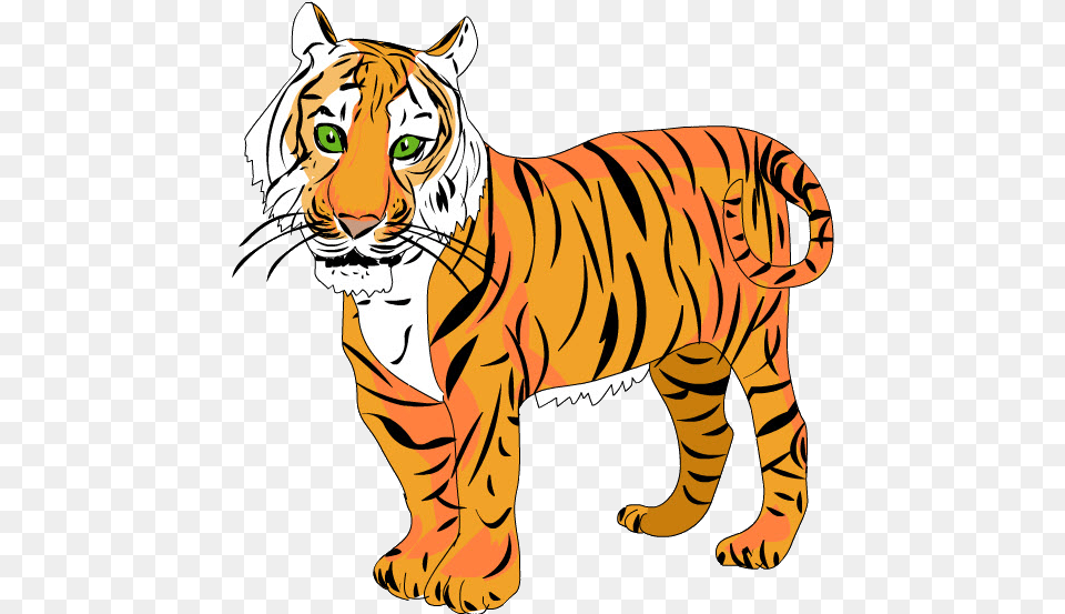 Tigre Tigre, Animal, Mammal, Tiger, Wildlife Free Transparent Png