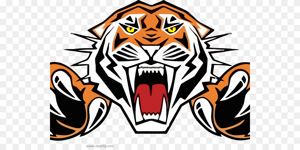 Tiiger Clipart Eye Tiger, Electronics, Hardware, Baby, Person Png Image