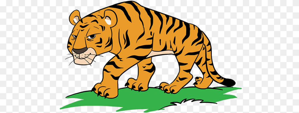 Tiiger Clipart Tiger Head Cartoon Tiger Drawing, Face, Person, Baby, Animal Free Png Download