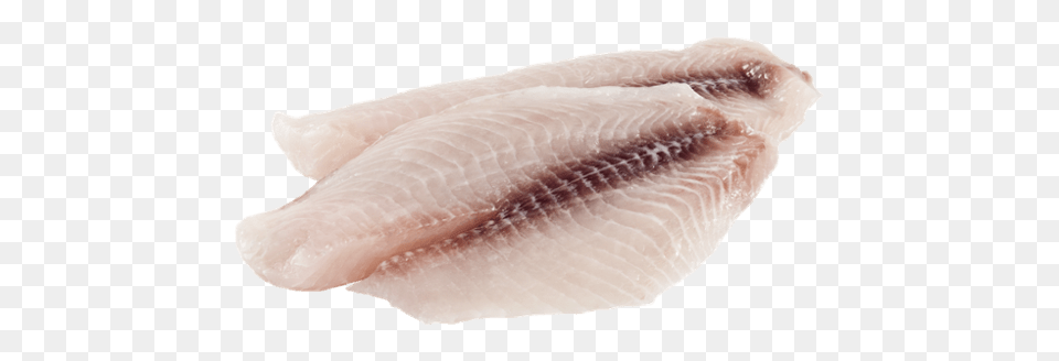 Tilapia Fillets, Animal, Fish, Sea Life Png Image