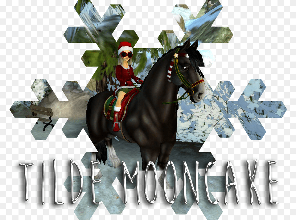 Tilde Mooncake Stallion, Person, Animal, Equestrian, Horse Free Png