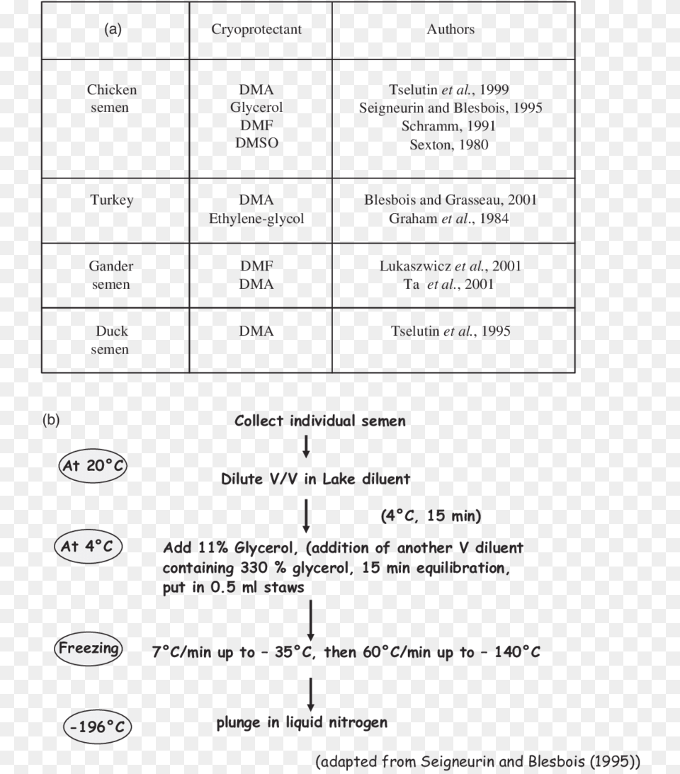 Time Of Insemination In Different Species, Text, Menu Free Png Download