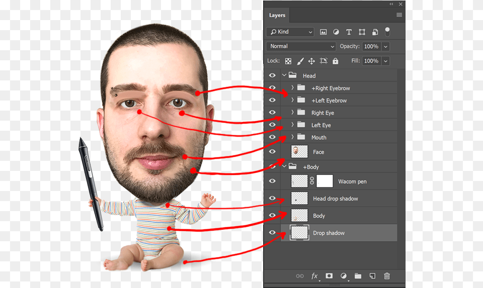 Time To Build Your Puppet Arrange And Name Your Psd Character Animator Puppet Psd, Portrait, Photography, Person, Face Free Png