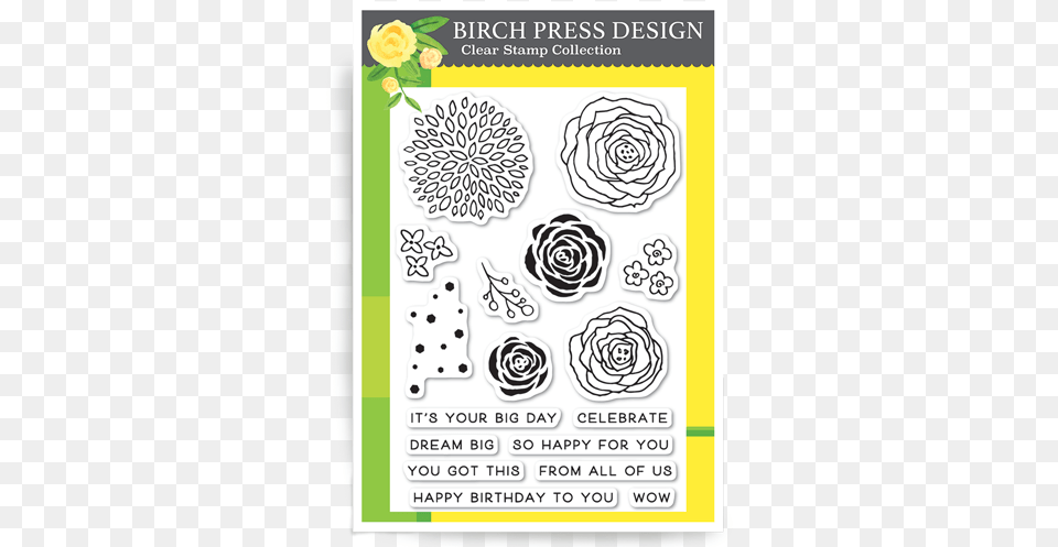 Time To Celebrate Clear Stamp Set Birch Press Design Time To Celebrate Clear Stamps, Art, Floral Design, Flower, Graphics Png