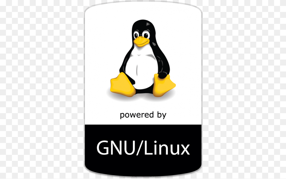 Time To Find The Best Linux Distro For Your Old Gnu Linux Logo, Animal, Bird, Penguin Free Png Download