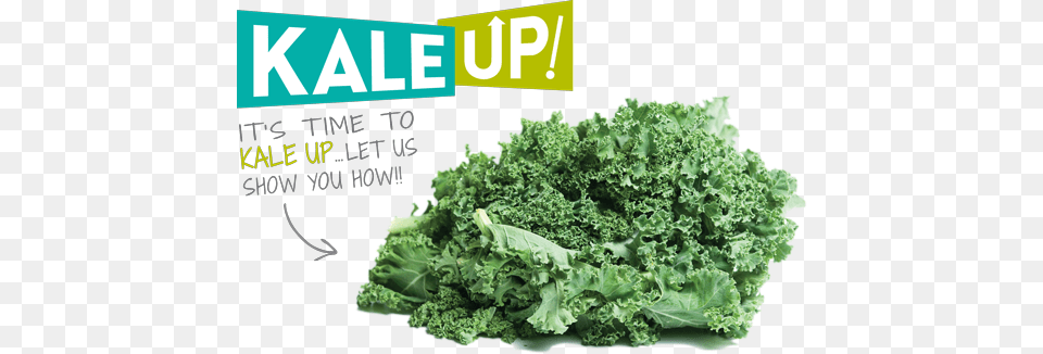 Time To Kale Up Cruciferous Vegetables, Food, Leafy Green Vegetable, Plant, Produce Free Png Download