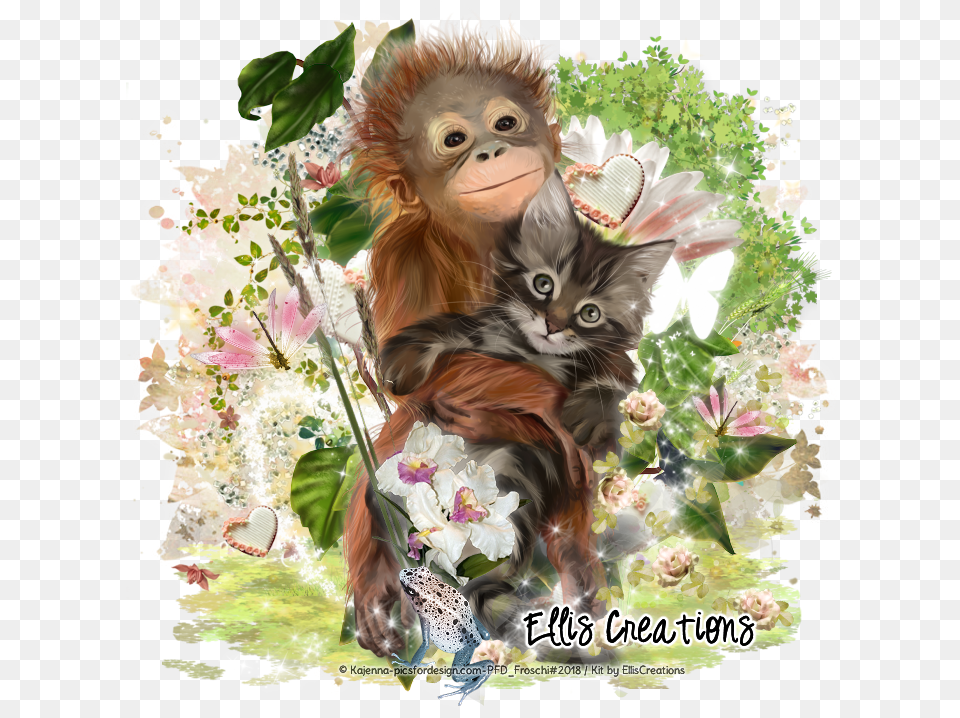 Timefortutorials De Orangutan, Animal, Wildlife, Cat, Mammal Free Png Download