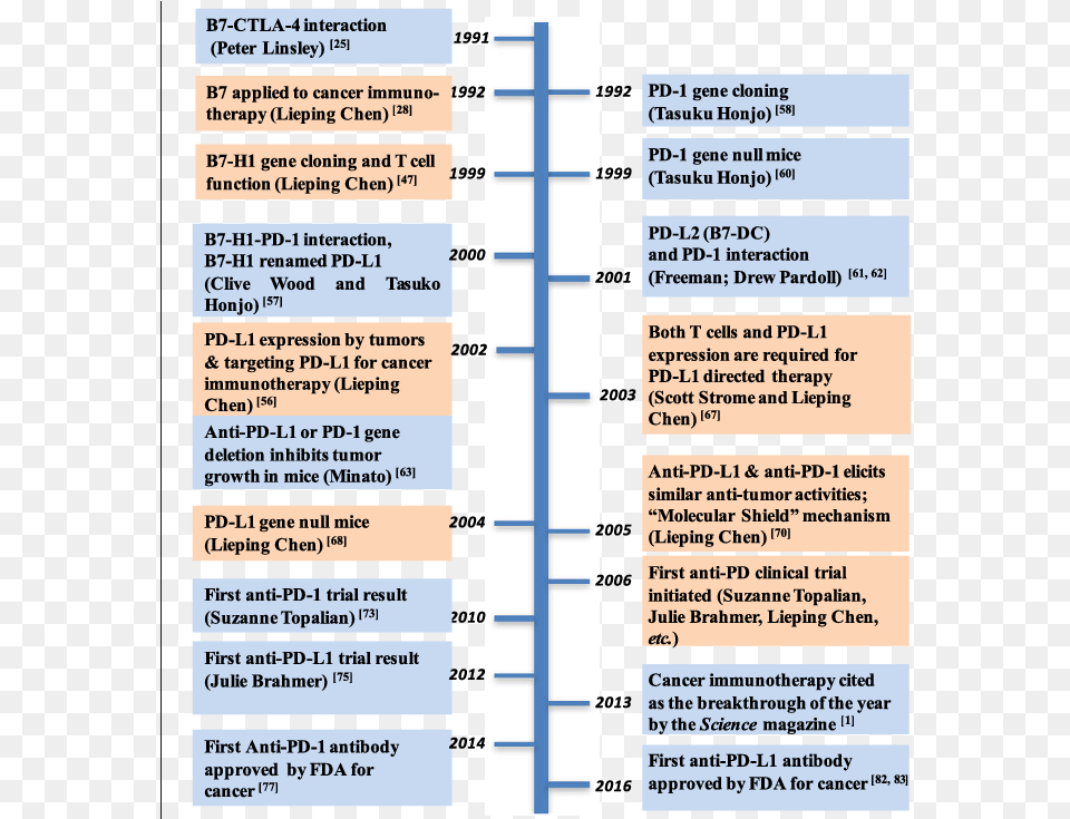 Timeline For Major Events Leading To The Development Pd 1 Timeline, Page, Text Free Png
