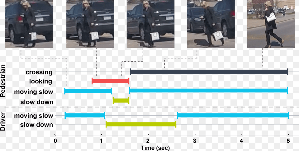 Timeline Of Events As The Pedestrian Is Crossing The Car, Person, Transportation, Vehicle, Handbag Free Png