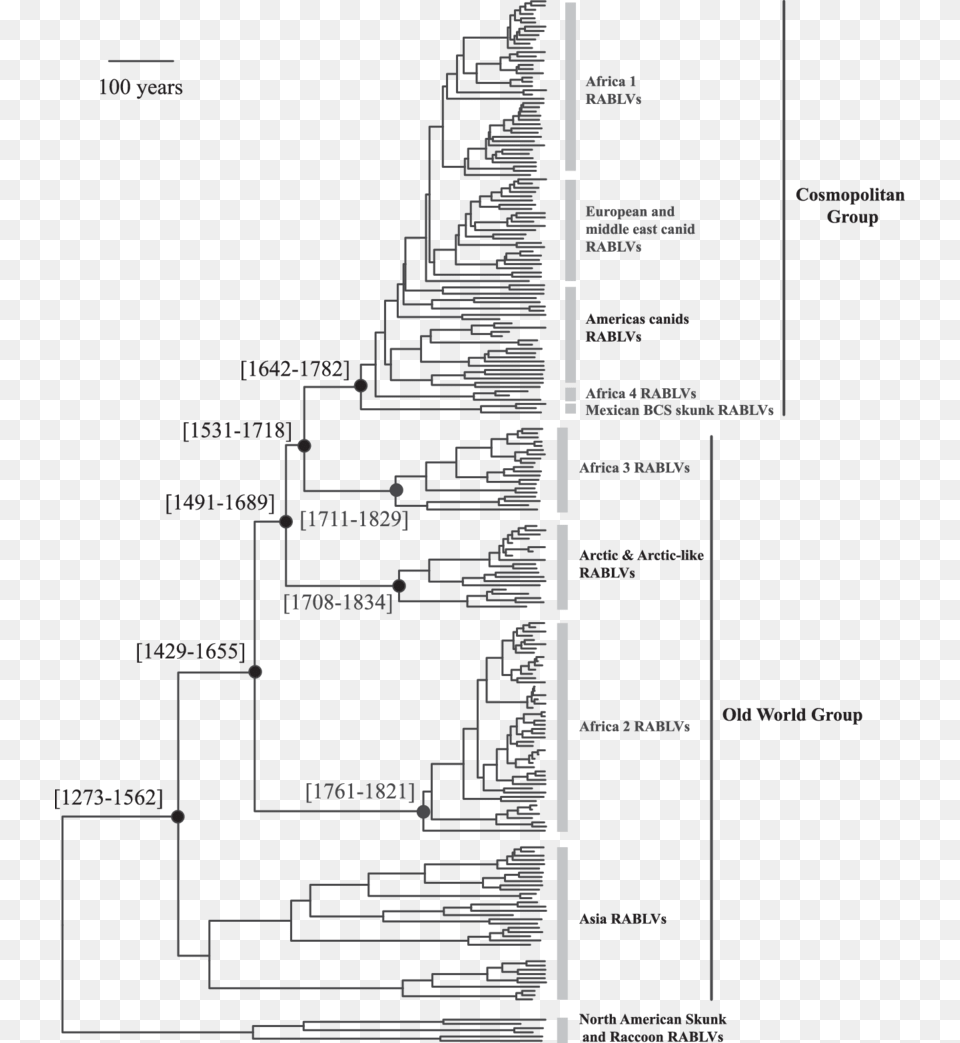 Timeline Of Introduction Of The Cosmopolitan Rablv Ancient Americas Timeline, City Free Png Download