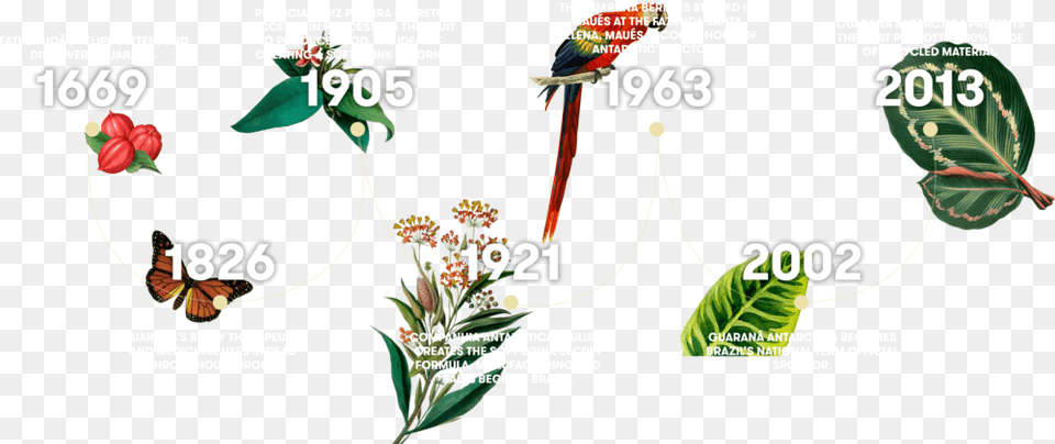 Timeline With Copy, Vegetation, Plant, Leaf, Advertisement Free Png