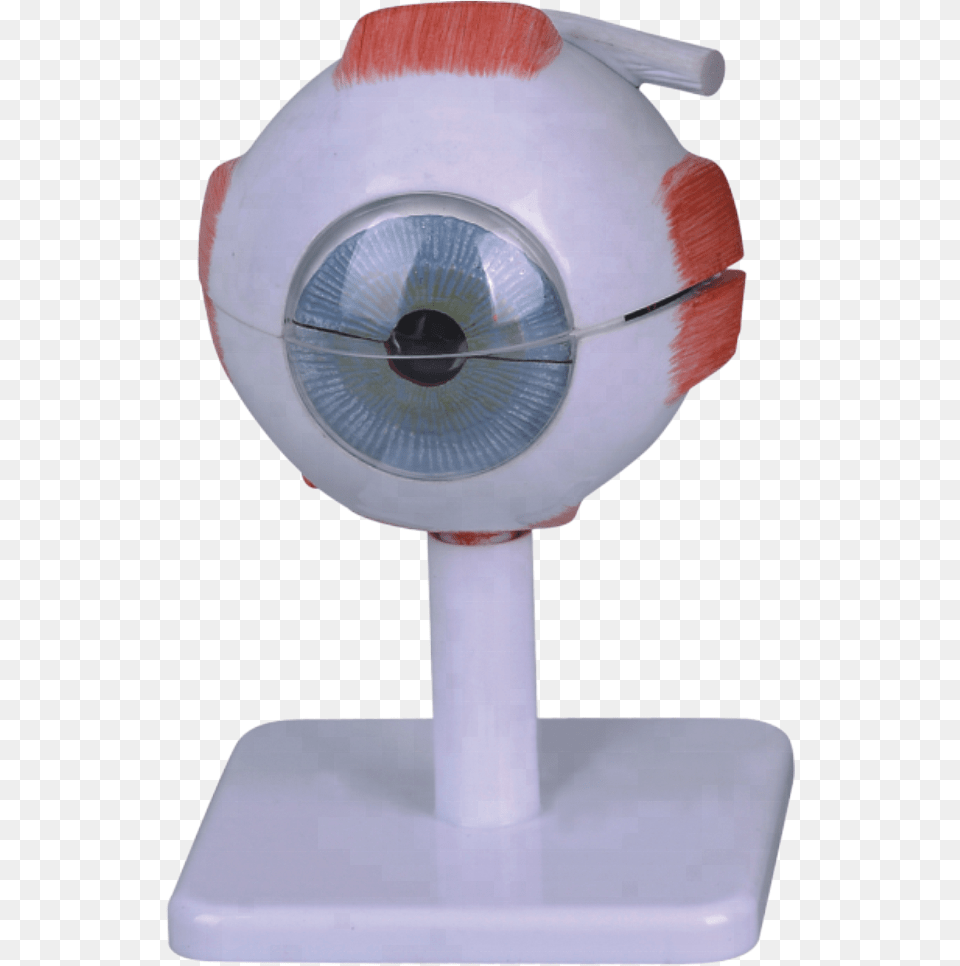 Times Enlargedplastic Human Eye Anatomy Model Plush, Device, Appliance, Electric Fan, Electrical Device Free Png Download