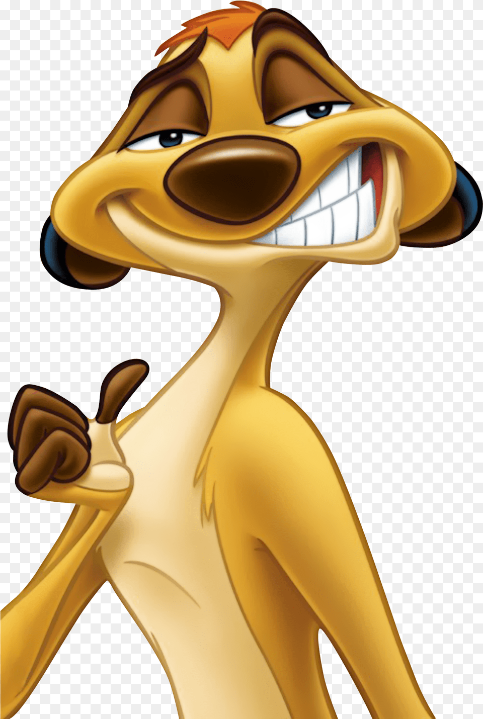 Timon Timon And Pumbaa, Adult, Female, Person, Woman Free Png