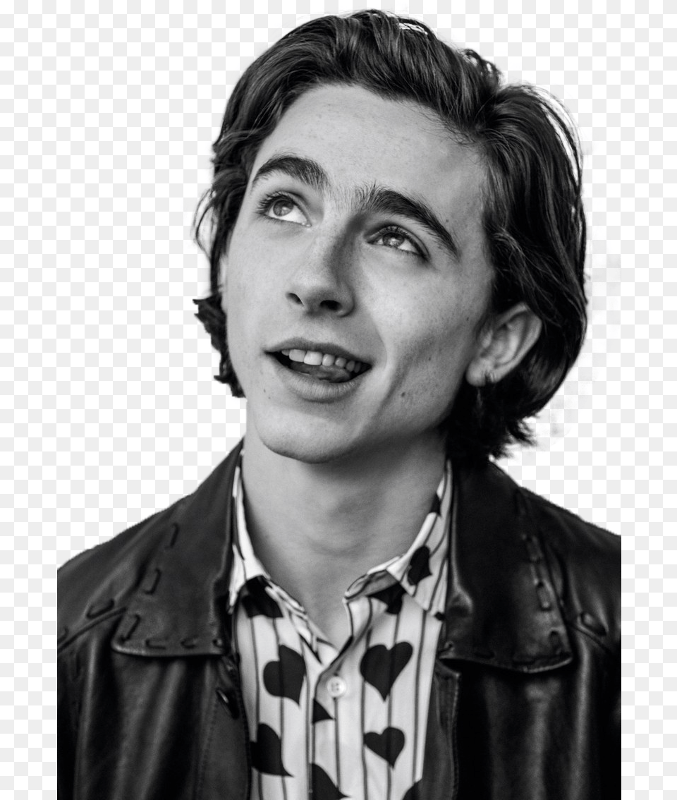 Timotheechalamet Celebrity Fashion Transparent Timothee Chalamet, Adult, Portrait, Photography, Person Free Png Download