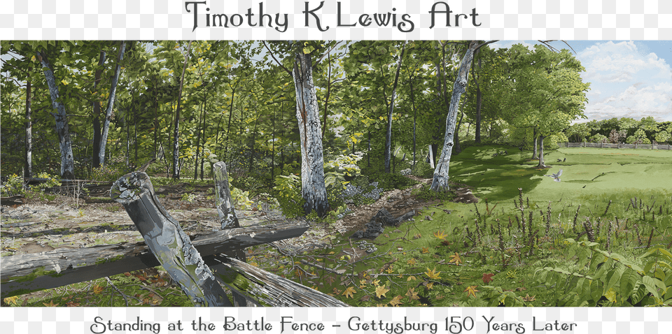 Timothy K Lewis Art Grove, Field, Vegetation, Tree, Plant Png Image