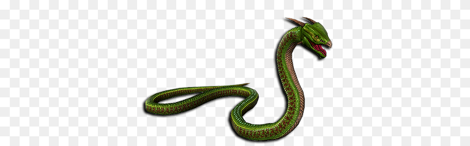 Tingaloo, Animal, Reptile, Snake, Green Snake Png Image