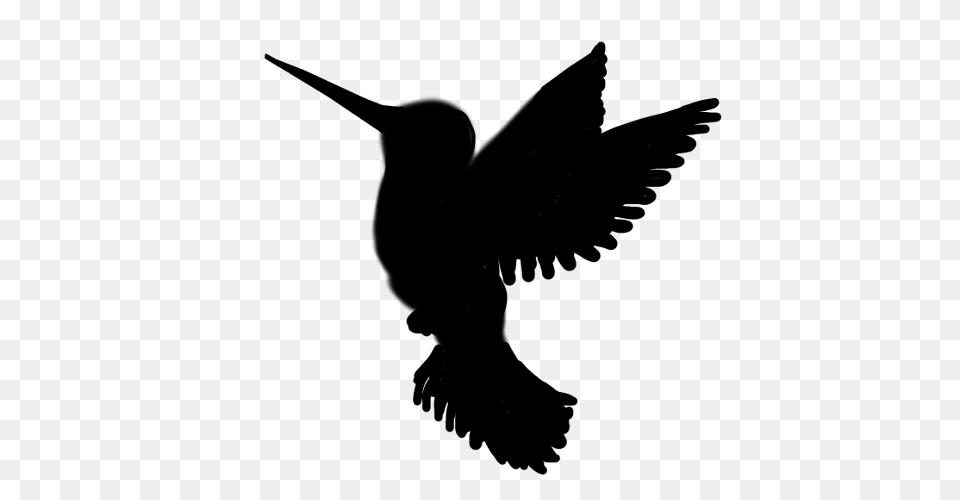 Tinkerbell Black Outline, Silhouette, Animal, Bird, Blackbird Png Image