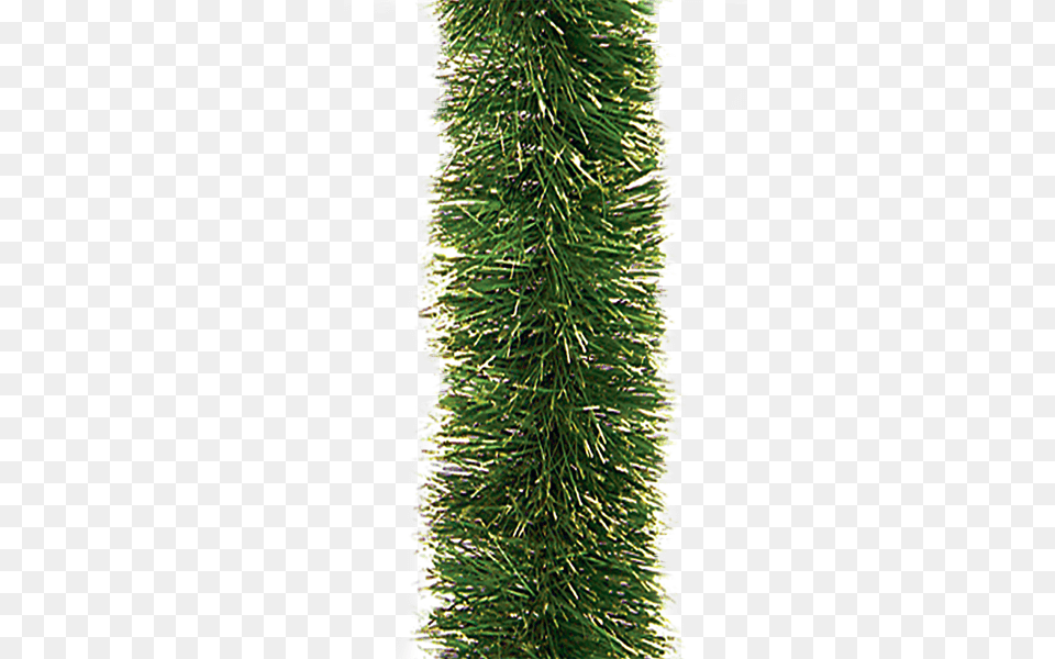 Tinsel, Pine, Plant, Tree, Fir Free Png