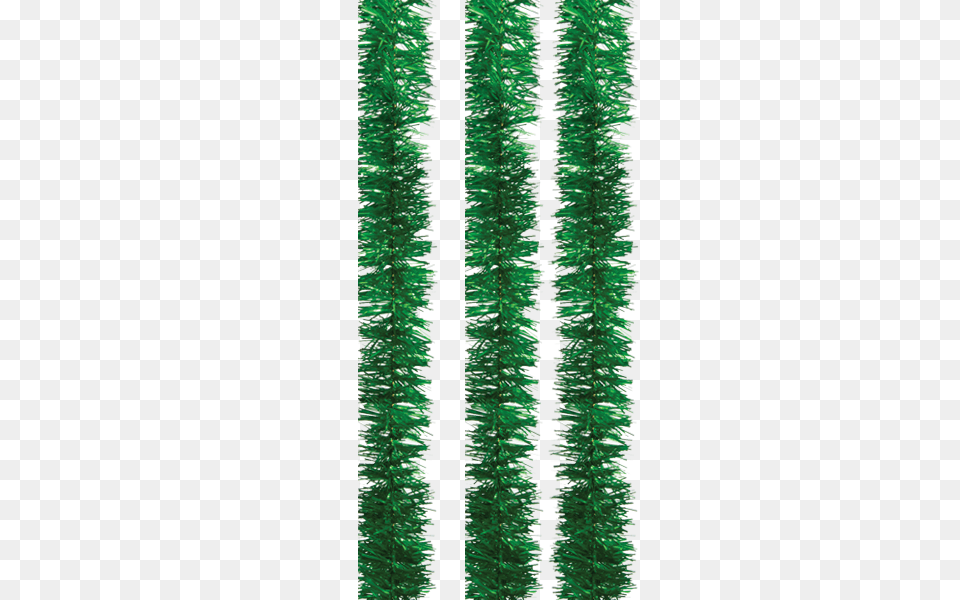 Tinsel, Moss, Plant, Tree, Pine Png Image