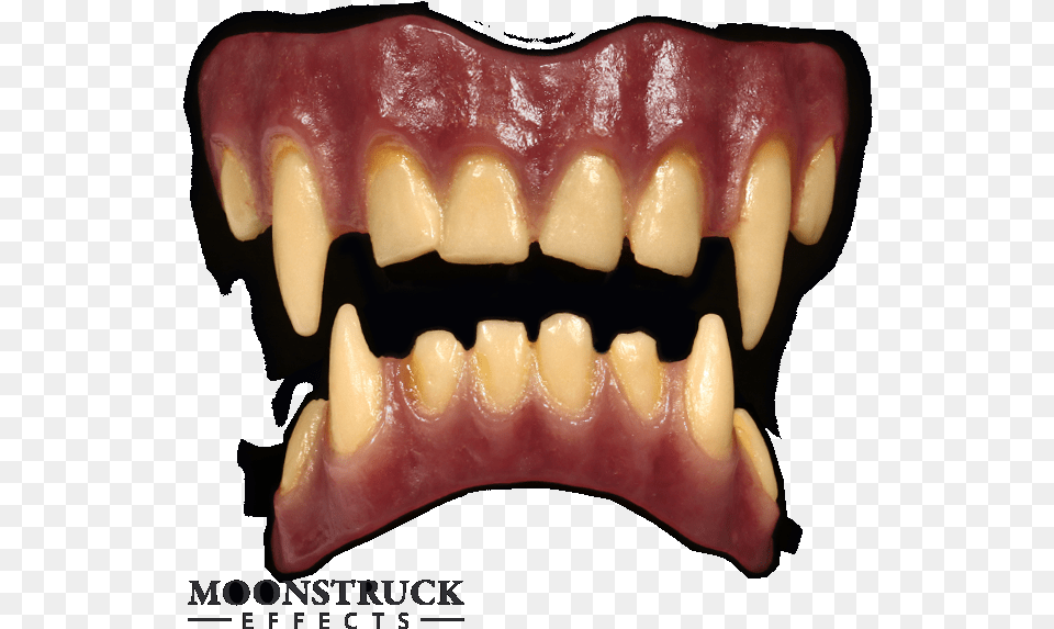 Tinsley Fx Teeth Werewolf Download Wolfs Teeth, Body Part, Mouth, Person Free Transparent Png