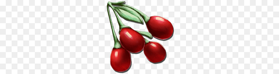 Tintoberry, Food, Fruit, Plant, Produce Free Transparent Png