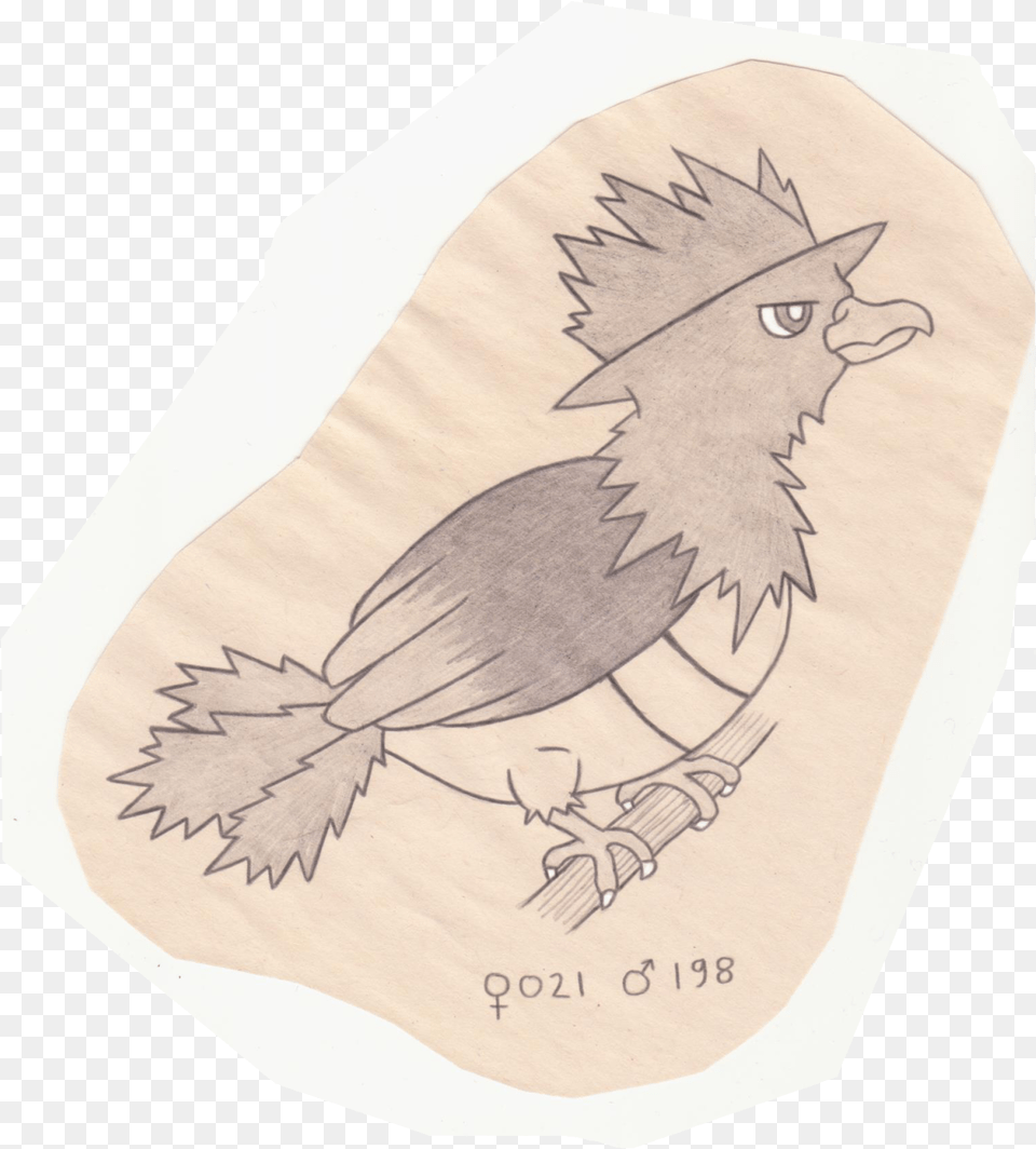 Tiny Bird Pokemon, Animal, Home Decor, Jay, Quail Free Transparent Png