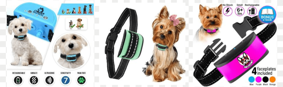 Tiny Dog Bark Collar Reviews Yorkshire Terrier Puppy Dog Canvas Tote Adult Unisex, Accessories, Strap, Canine, Animal Png